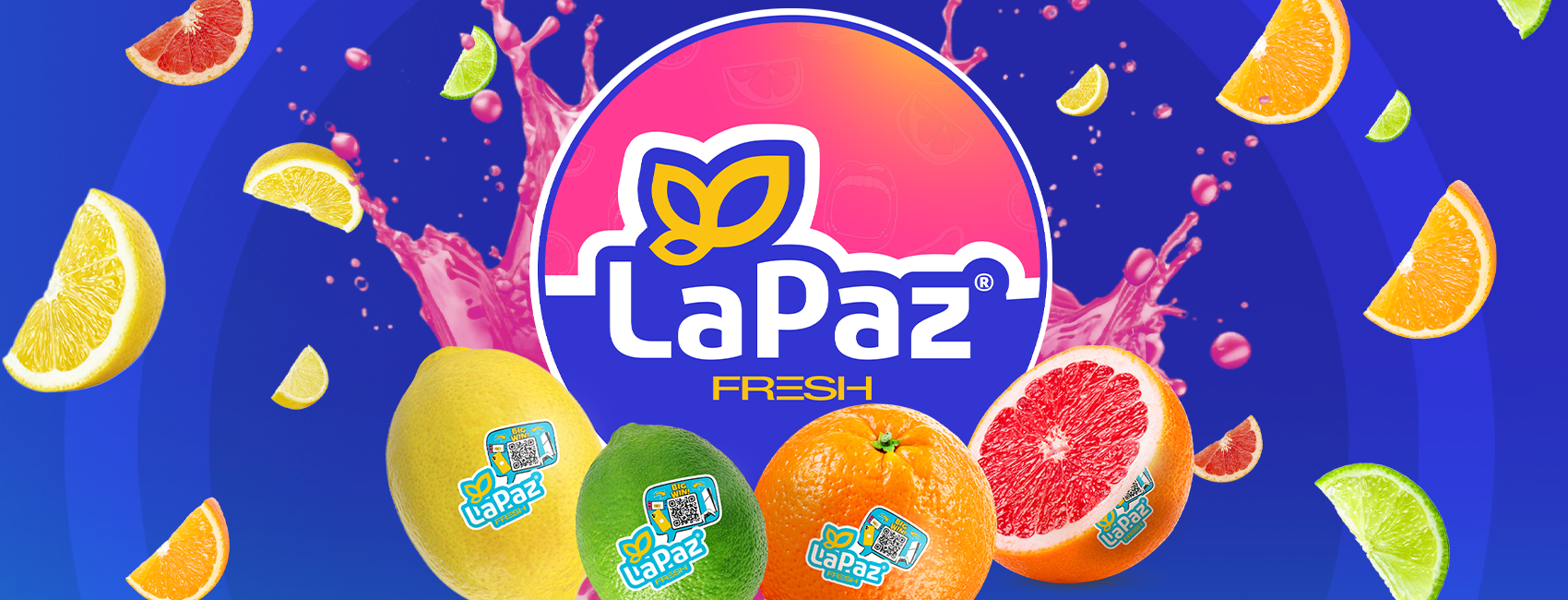 slider PRINCIPAL 2026_V3