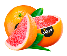 POMELO PNG
